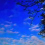 Abend